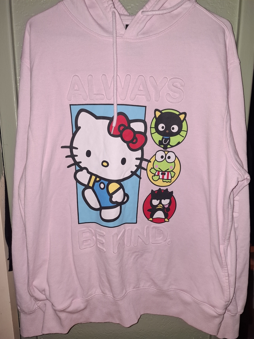 Hello Kitty Pink Pullover Hoodie with Character Graphics